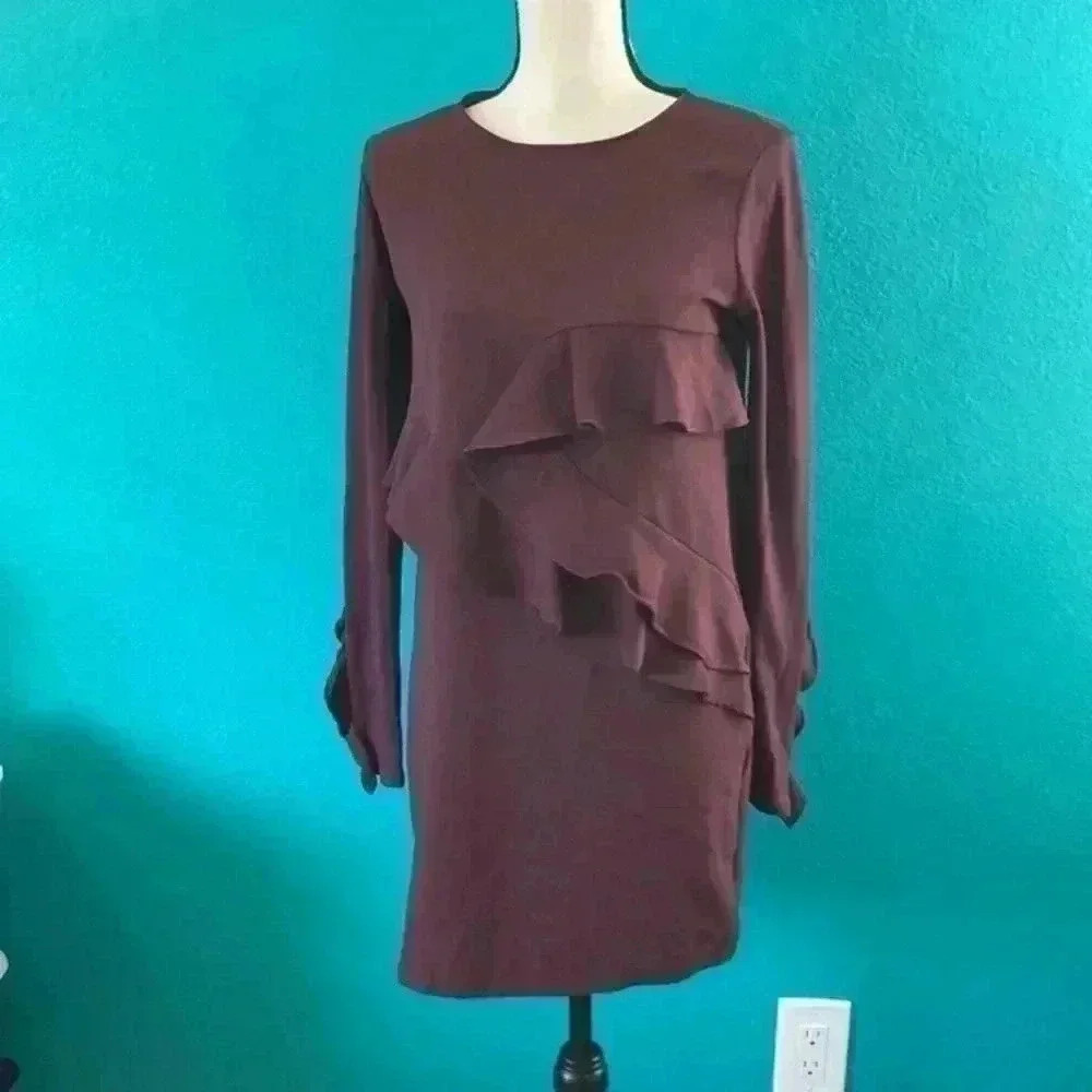 Zara Red Wine Long Sleeve Ruffle Dress in size small